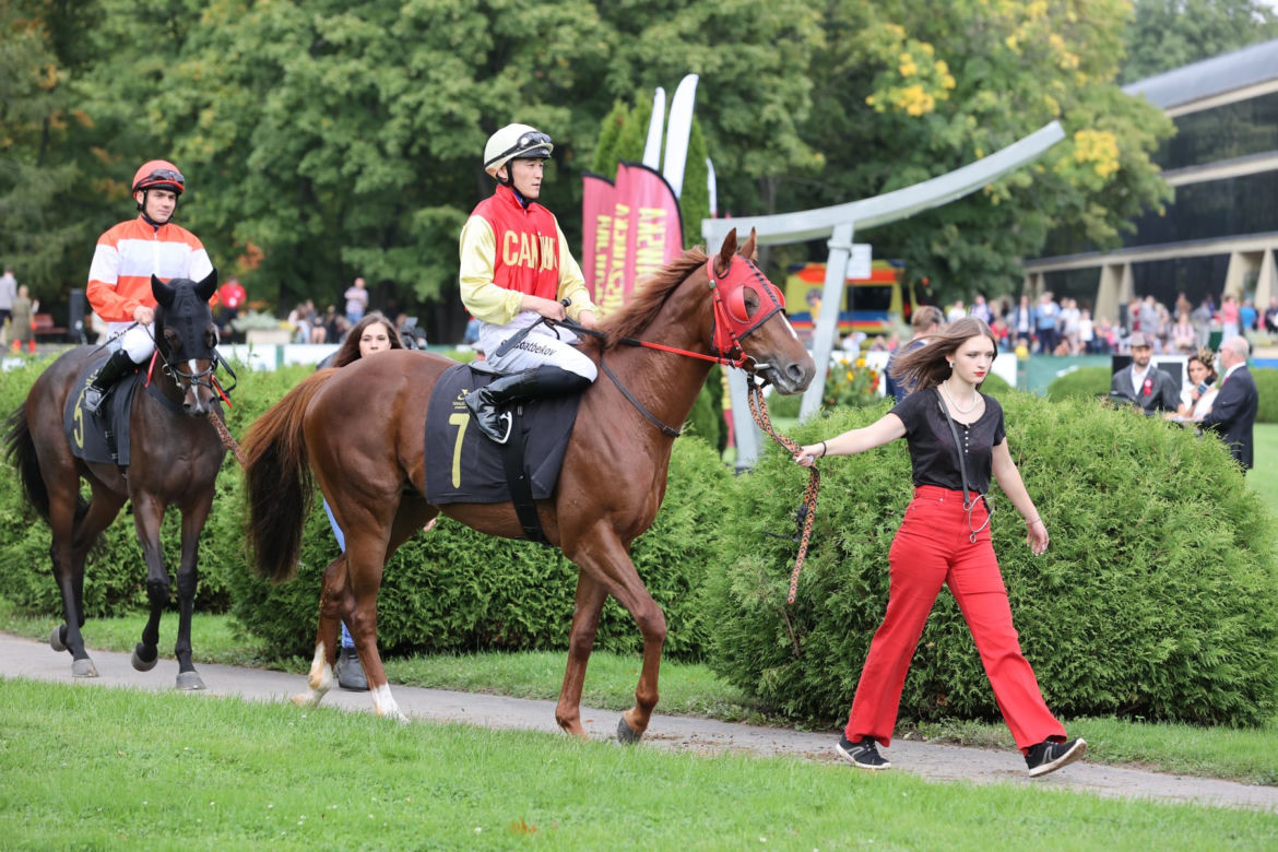 Wielka Warszawska 2021