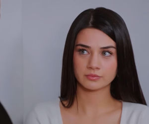 Miłość i nadzieja, odcinek 342. Cavidan, Bahar