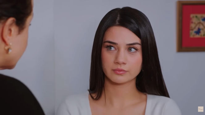 Miłość i nadzieja, odcinek 342. Cavidan, Bahar