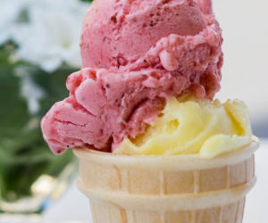 Bosko - Lody Produkcji Własnej