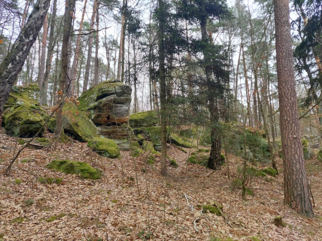 Rezerwat Przyrody "Skały pod Adamowem"