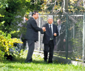 Akcja uwolnić Alika!