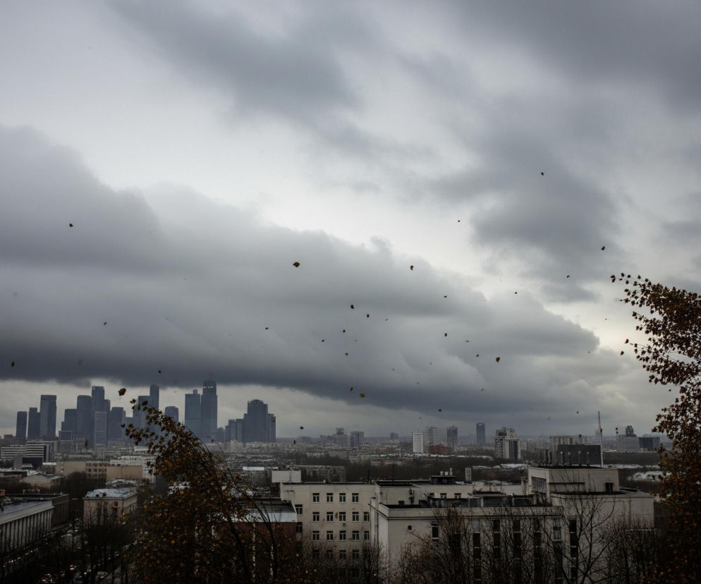 Ponad panoramą miasta rozciąga się ciemne, burzowe niebo, wypełnione ciężkimi, szarymi chmurami. W centrum kadru widać szereg wysokich wieżowców o nowoczesnej architekturze, dominujących nad resztą zabudowań. Na pierwszym planie, po prawej stronie, uchwycono gałęzie drzew z brązowymi liśćmi, dynamicznie wygięte w lewo, co sugeruje silny wiatr, dodatkowo podkreślony przez liczne, małe, brązowe obiekty wyglądające jak spadające liście, rozrzucone na tle nieba.