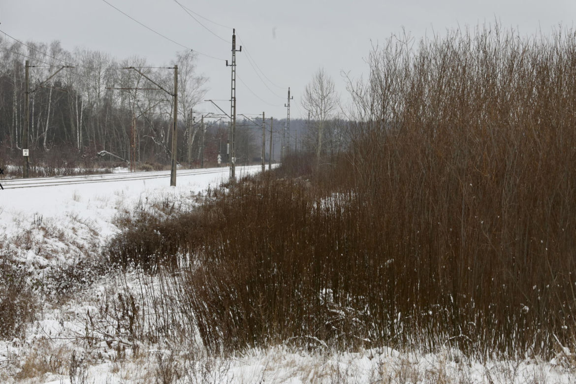 Anielka i Jaś zginęli z mamusią pod pędzącym pociągiem „Aniołki pamiętamy o Was”