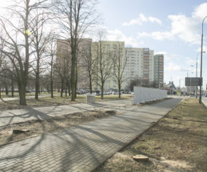 Wycinka drzew na Bródnie