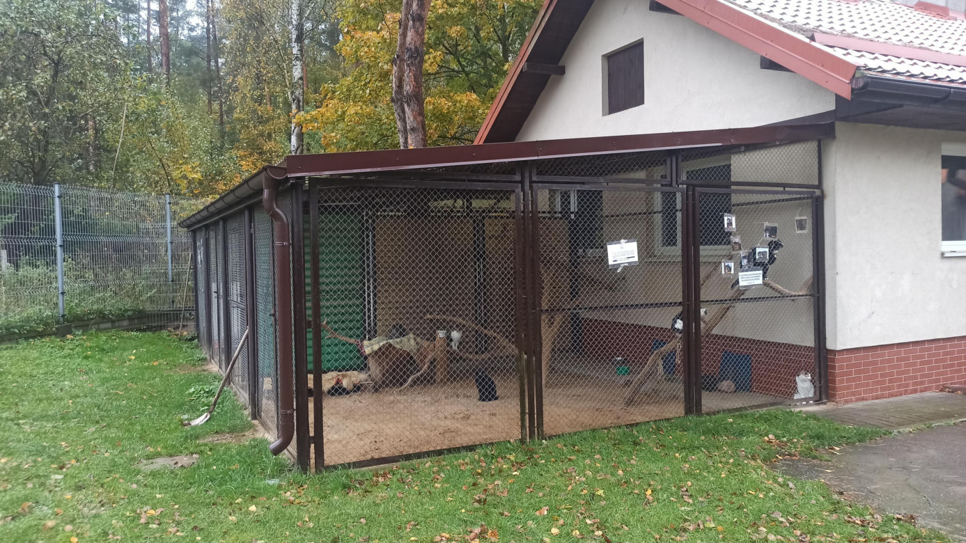 Schronisko dla Zwierząt w Olsztynie