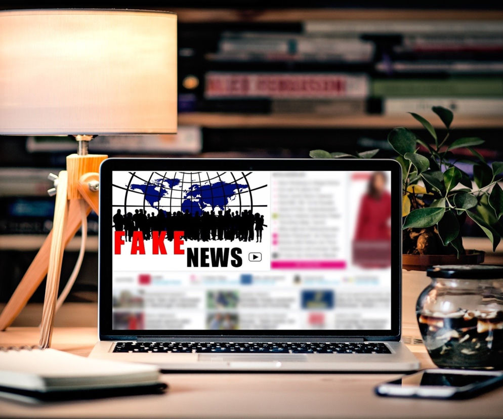 fake newsy