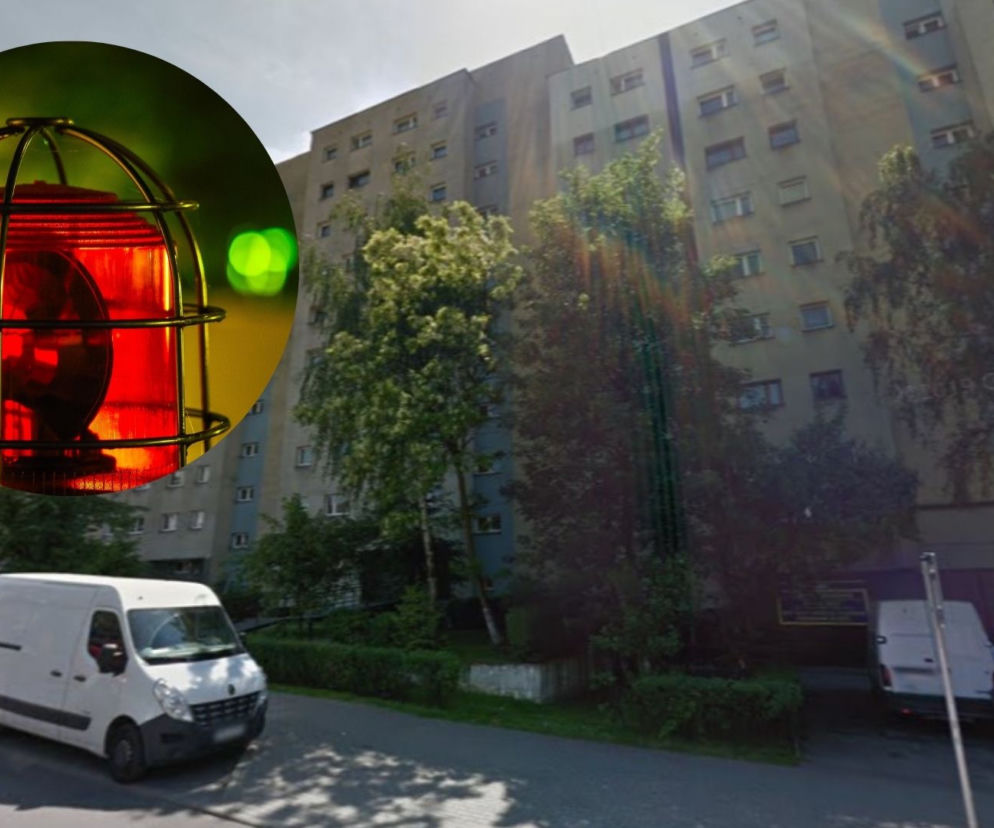 Chorzów. Wyleciał z 10.piętra. Lekarka chciała uratować mu życie, pogryzły ją szerszenie