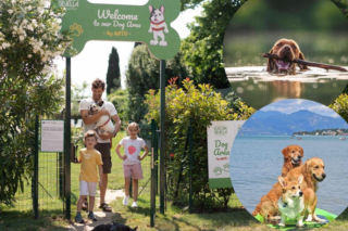 La dolce vita na czterech łapach – wakacje marzeń z pupilem nad Jeziorem Garda