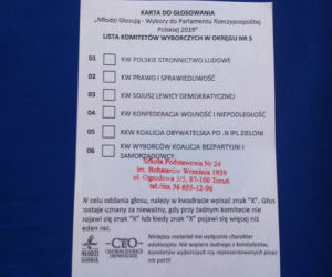 Wybory 2019: Tak głosowali młodzi torunianie. Sensacyjne wyniki!