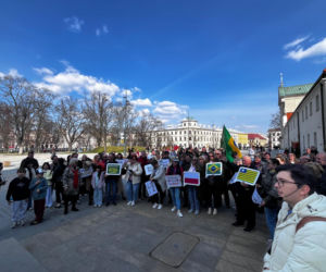 Portal Lublin - Brazylia