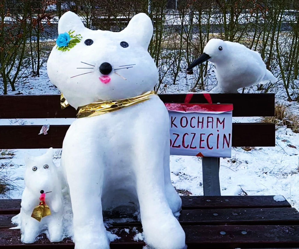 Rzeźby ze śniegu na pętli Głębokie