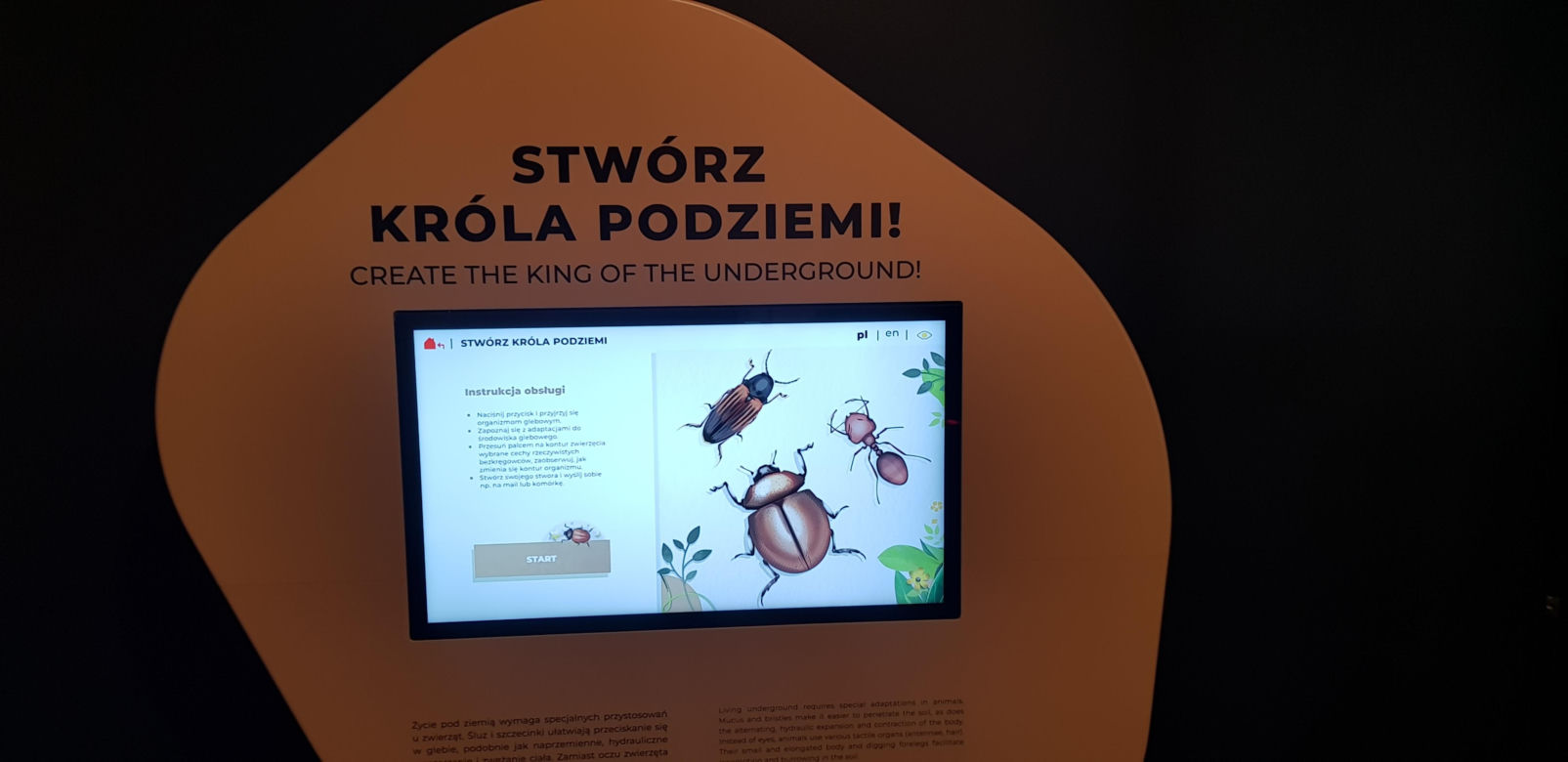 Otwarcie Centrum Nauki Kortosfera w Olsztynie. Bilety już dostępne! Ile kosztują?