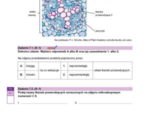Matura 2026 biologia poziom rozszerzony - arkusz CKE