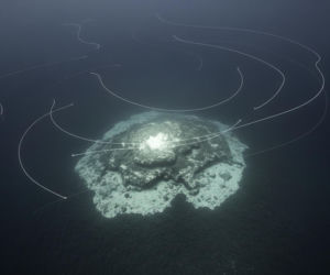 Trójkąt Bermudzki. Niezwykła anomalia pod oceanem może wyjaśnić jego tajemnice?