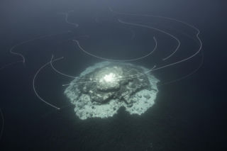 Trójkąt Bermudzki. Niezwykła anomalia pod oceanem może wyjaśnić jego tajemnice?