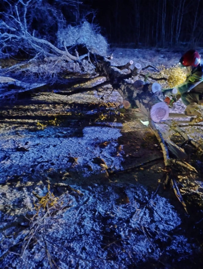 Wichura zniszczyła zabytkową kapliczkę przy sanktuarium