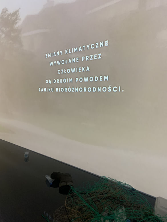 Niezwykła wystawa ekologiczna w Norblinie. Posadzą las w zamian za jej ślad węglowy
