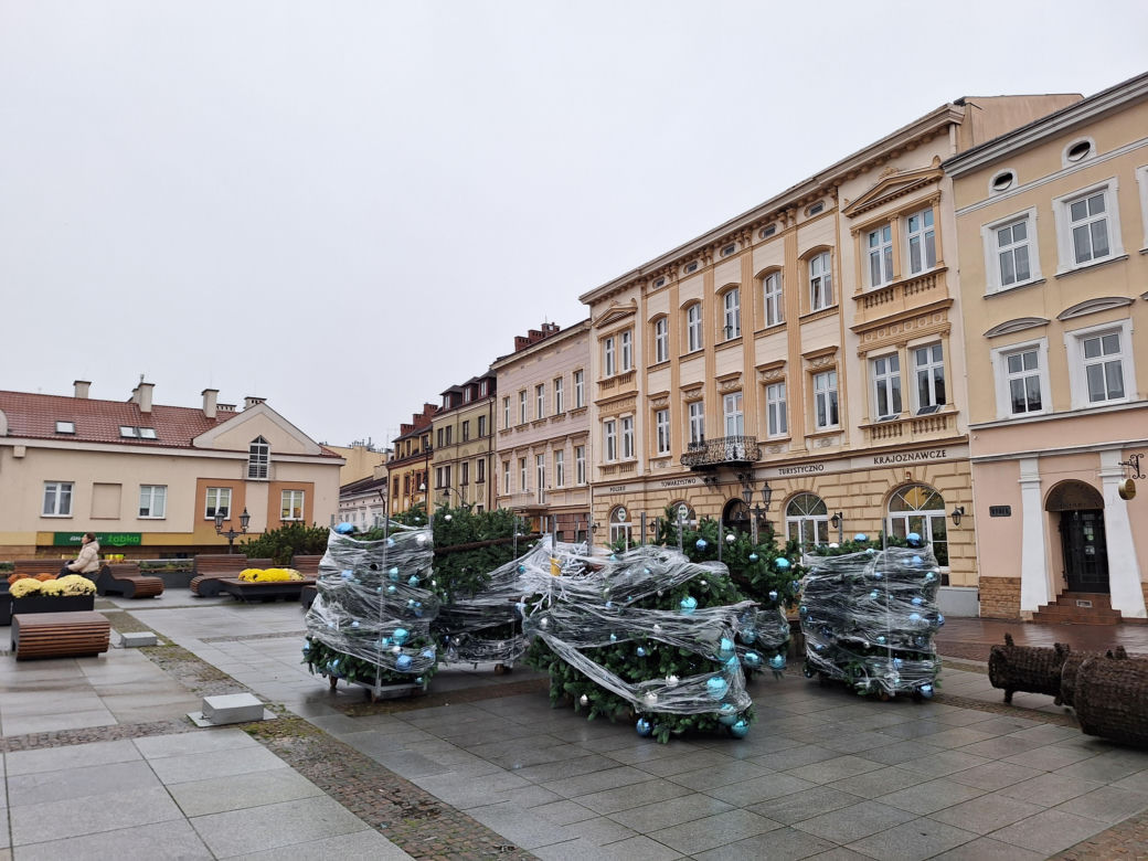 Na rzeszowskim Rynku rozpoczął się montaż świątecznej choinki 