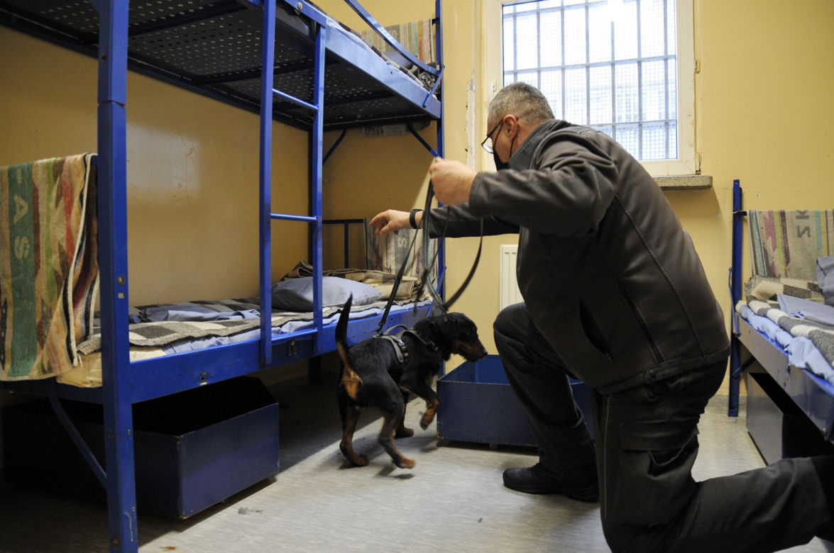 Jest decyzja: będą specjalne udogodnienia na emeryturze! 