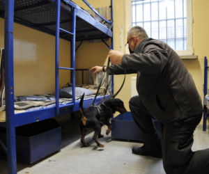 Jest decyzja: będą specjalne udogodnienia na emeryturze! 