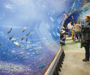 Afrykarium, wnętrze