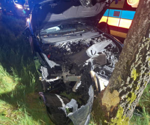 Kościaniak uderzył autem w drzewo. Chciał uniknąć zderzenia z sarną [ZDJĘCIA]