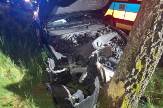 Kościaniak uderzył autem w drzewo. Chciał uniknąć zderzenia z sarną [ZDJĘCIA]