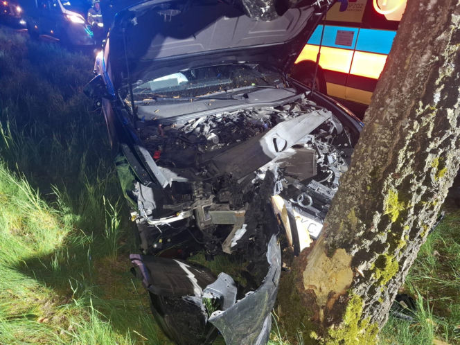 Kościaniak uderzył autem w drzewo. Chciał uniknąć zderzenia z sarną [ZDJĘCIA]