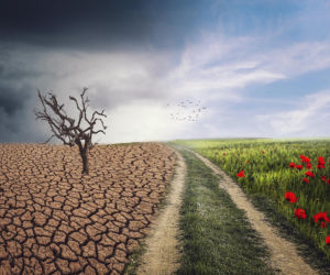 Oszczędzanie wody i energii elektrycznej – klucz do adaptacji do zmian klimatu