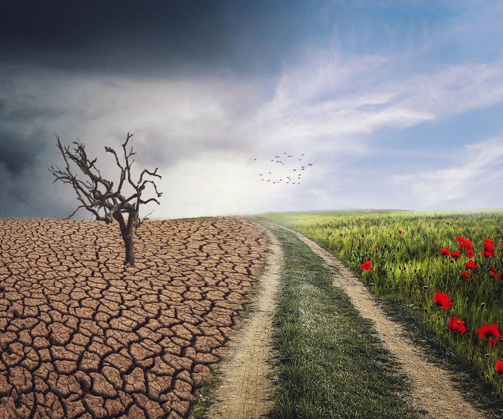 Oszczędzanie wody i energii elektrycznej – klucz do adaptacji do zmian klimatu