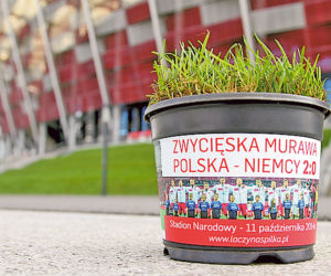Zdobądź trawę zwycięstwa!