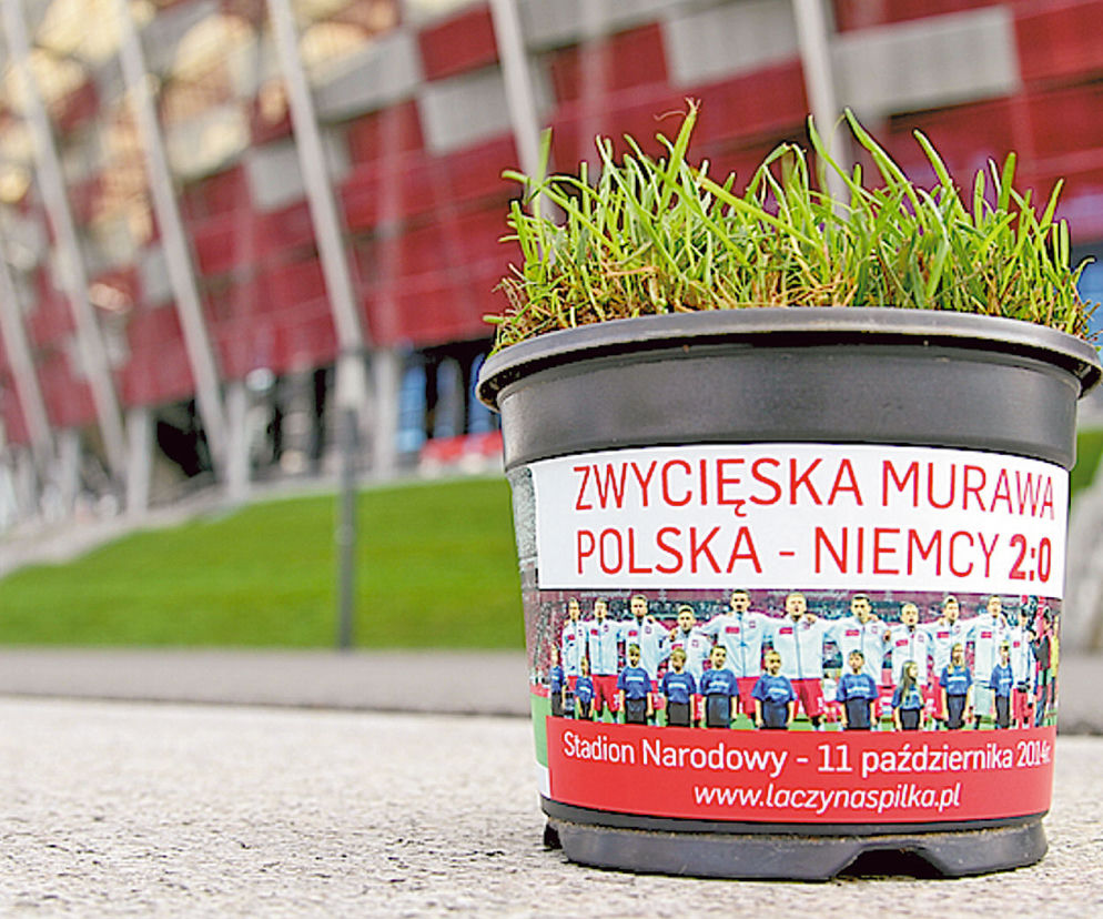Zdobądź trawę zwycięstwa!