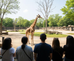 Zamojskie Zoo za darmo. Czy każdy zdąży skorzystać z nietypowej oferty?