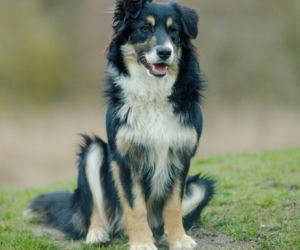 O Klarze, która jeździła koleją