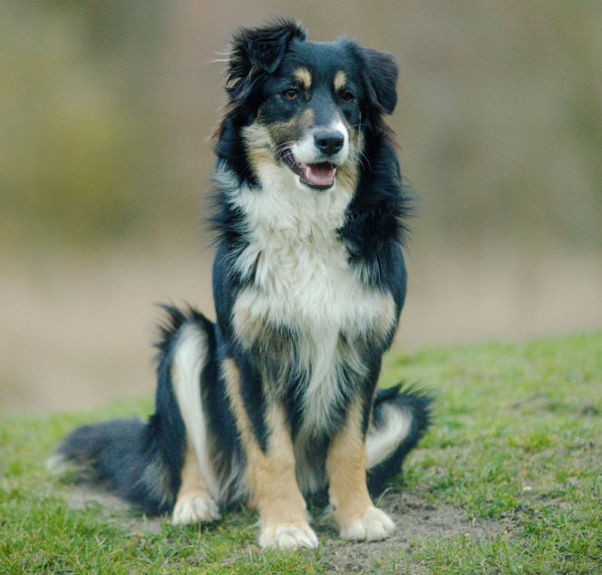 O Klarze, która jeździła koleją