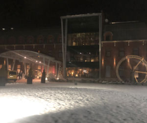 Tak się bawią radni sejmiku województwa małopolskiego