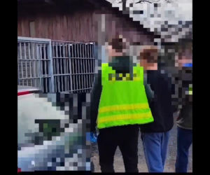 Najpierw razem pili, później polała się krew. Brat na brata ruszył z nożem!