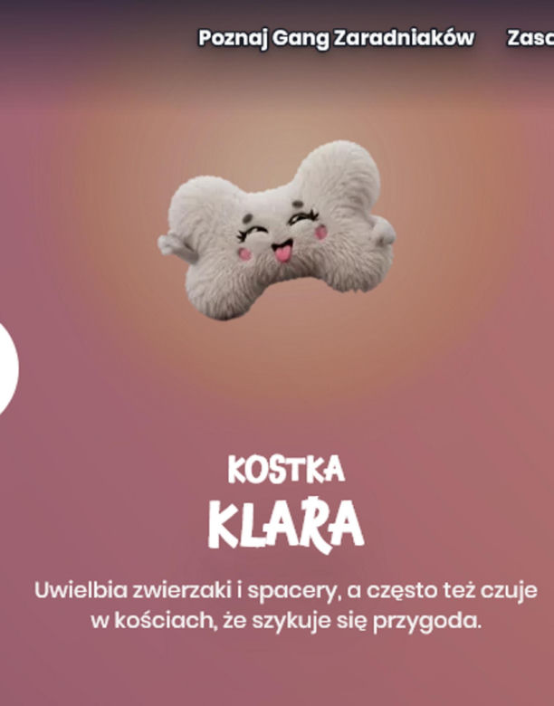 Gotowi na nową przygodę? Gang Zaradniaków już czeka w Biedronce
