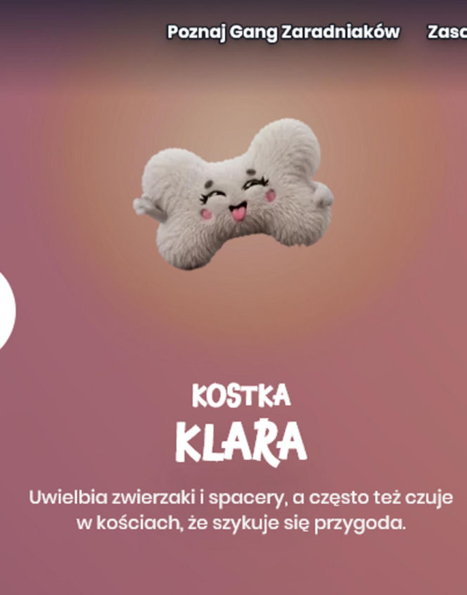 Gotowi na nową przygodę? Gang Zaradniaków już czeka w Biedronce