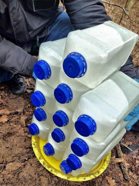 Akcja kryminalnych w lesie pod Toruniem. 44-latek zakopał tam narkotyki