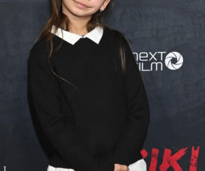 Gwiazdy na przedpremierze filmu Dziki