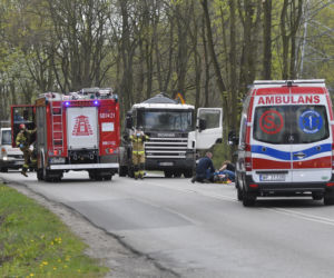 Łoś uderzył w motor przed rondem w Zielonce 