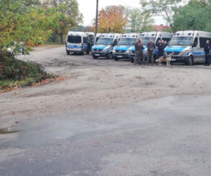 Prawie miesiąc trwały poszukiwania podpalacza