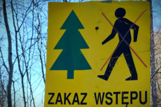 Znowu zakazali wstępu do lasów! Realne zagrożenie dla ludzi