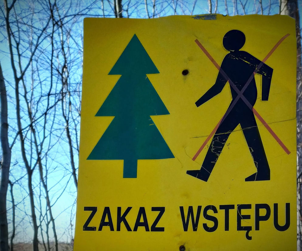 Zakaz wstępu do lasów