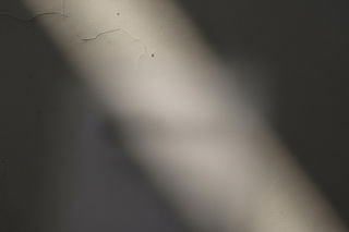 Koniec z więzieniem za obrazę uczuć religijnych. Co to oznacza dla wiernych i niewierzących?