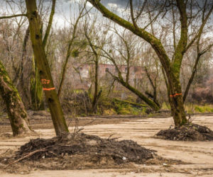 Na lewobrzeżu powstaje plaża miejska!