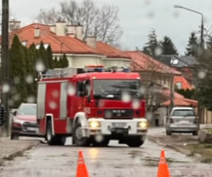 Wichura zrujnowała ogród Klaudii Halejcio