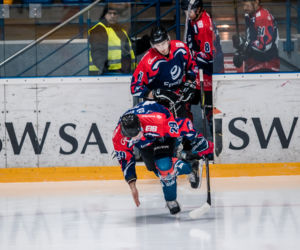GKS Jastrzębie - KH Energa Toruń 3:2, zdjęcia z meczu